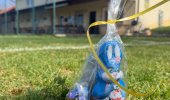 Allgemeines &raquo; Osterhasen-Suche 2026