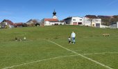 Osterhasen-Suche 2026