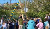 Kindermaibaum 2026